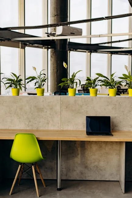 Intérieur élégant avec des cartons de déménagement étiquetés Kitchen et Office posés sur une table en bois, entourés de plantes d’intérieur.